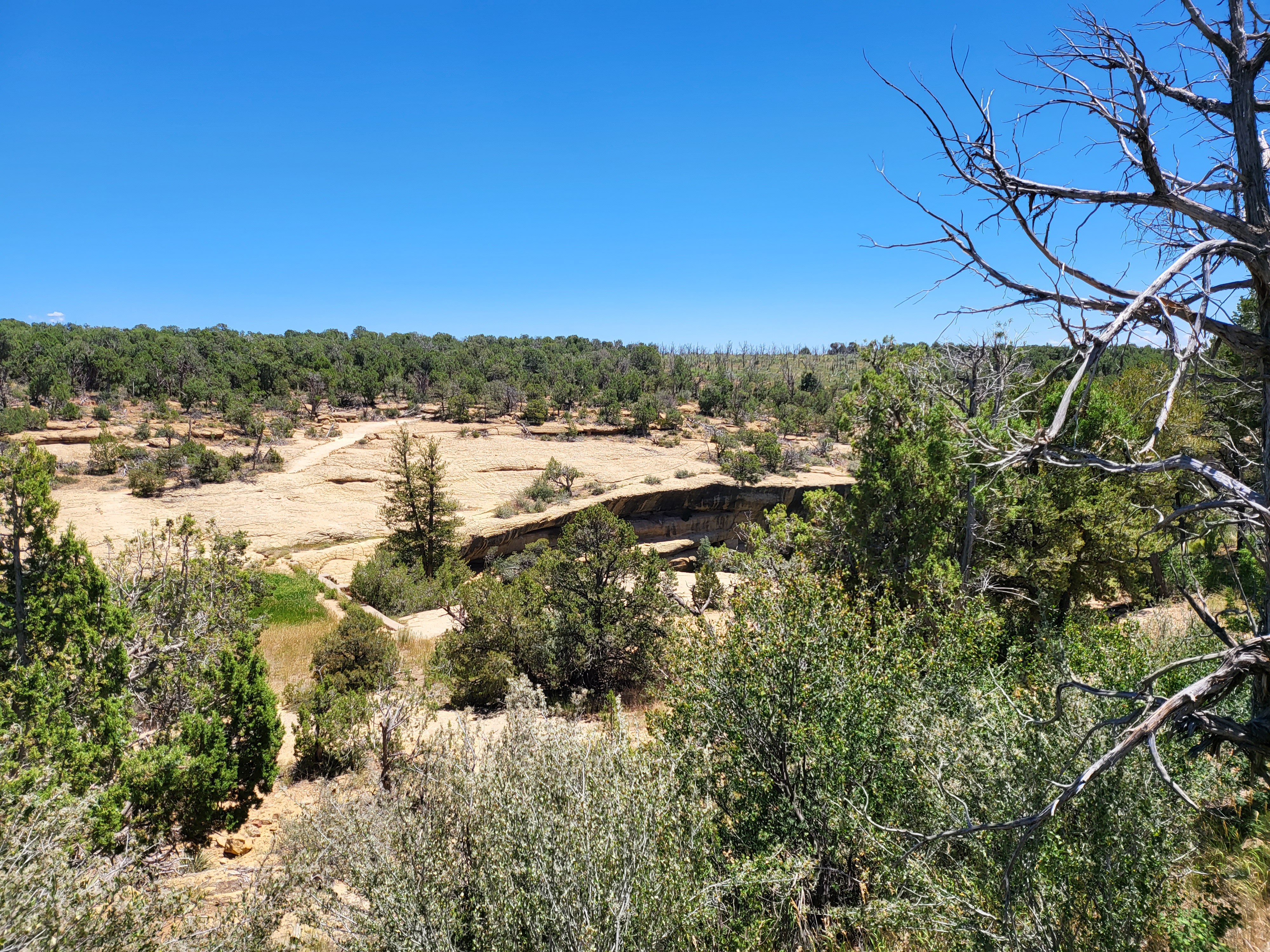 A dry desert landscape near Four Corners and the Utah border.