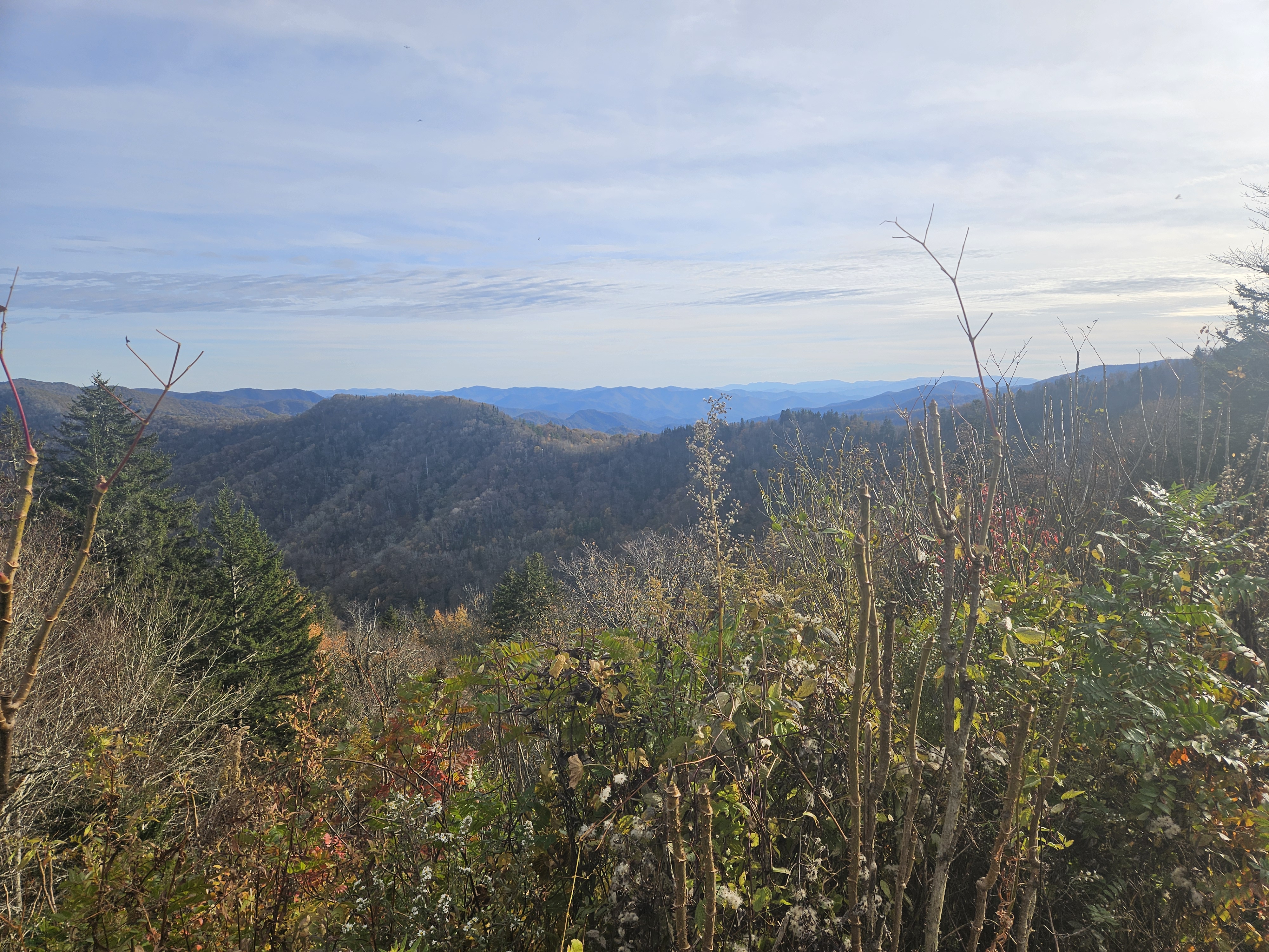 A scenic mountain overlook in Swain County, North Carolina.